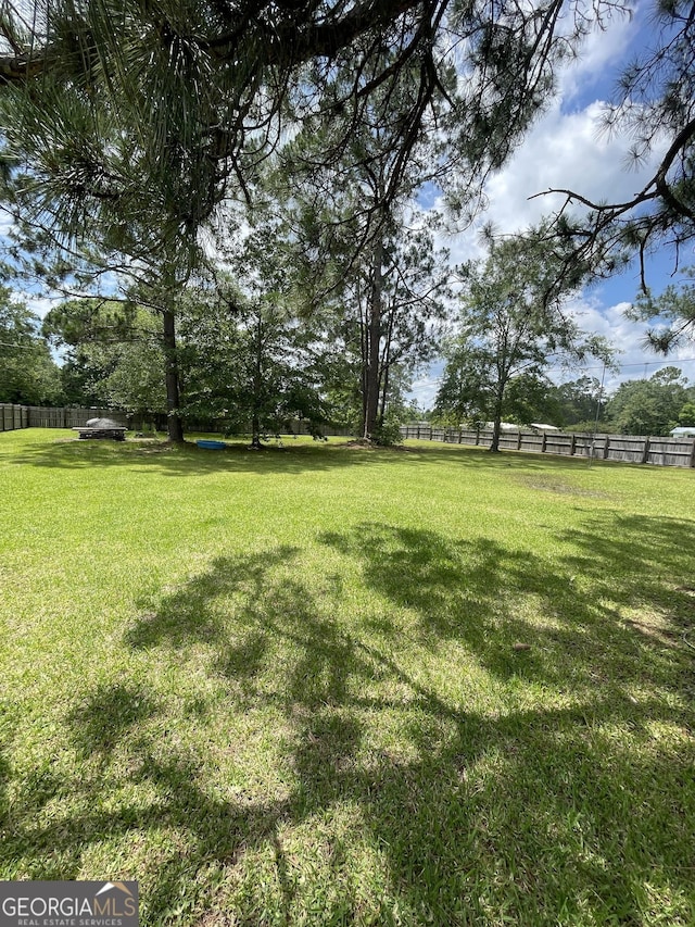 1191 Zoar Rd, Baxley, GA 31513 - view of yard