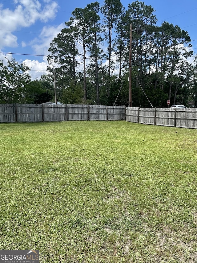 1191 Zoar Rd, Baxley, GA 31513 - view of yard