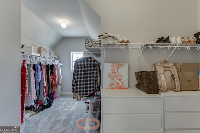4306 Applebrook Ter, Gainesville, GA 30504 - spacious closet featuring carpet and vaulted ceiling