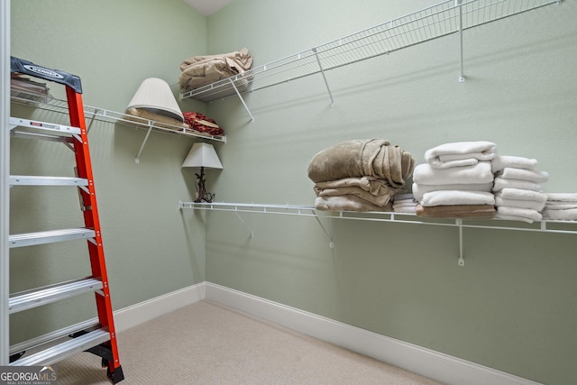 1724 Watercrest Way # G, Young Harris, GA 30582 - walk in closet with carpet flooring