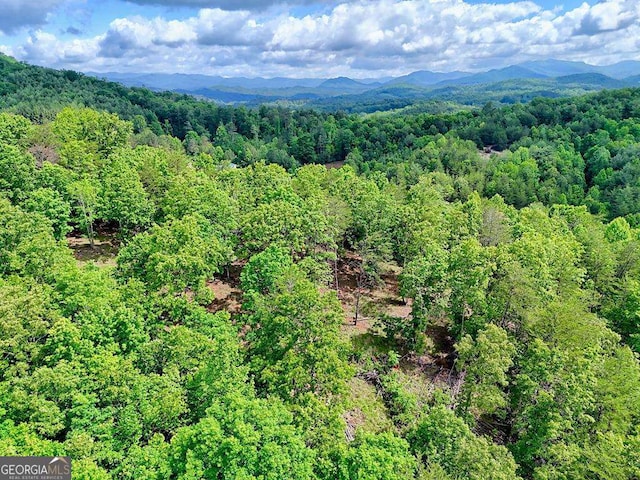 0 Mason Rd, Brasstown, WV 26805