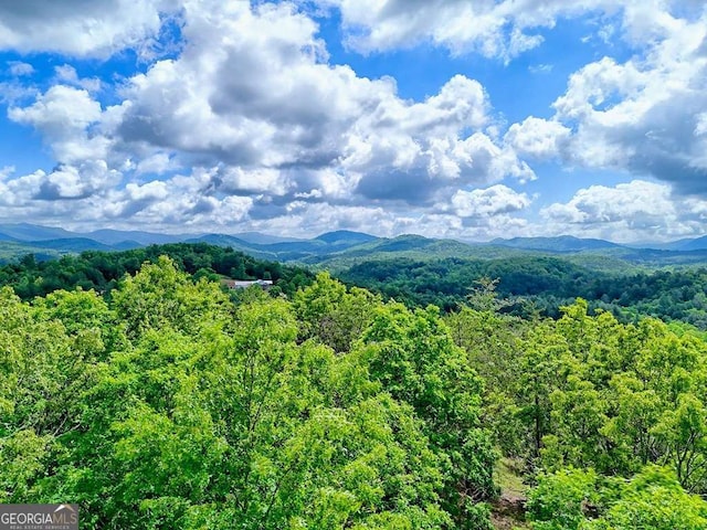 0 Mason Rd, Brasstown, WV 26805