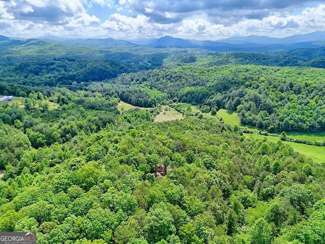 0 Mason Rd, Brasstown, WV 26805