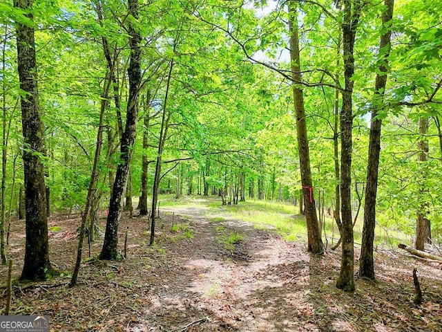 0 Mason Rd, Brasstown, WV 26805