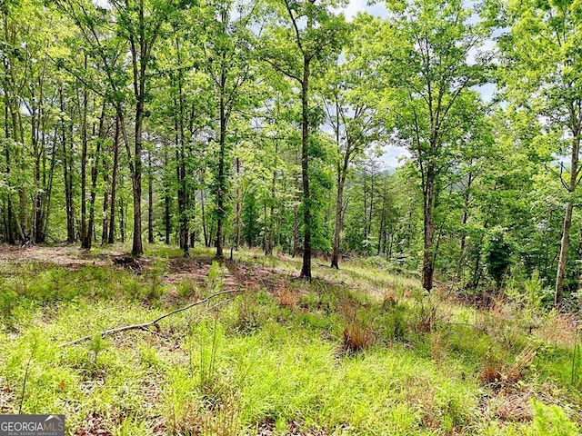 0 Mason Rd, Brasstown, WV 26805
