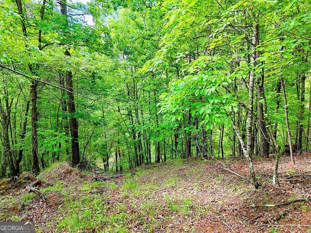 0 Mason Rd, Brasstown, WV 26805