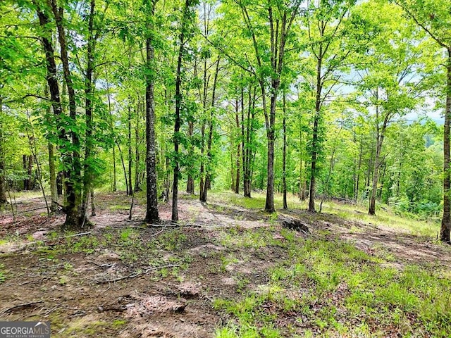 0 Mason Rd, Brasstown, WV 26805