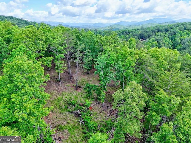 0 Mason Rd, Brasstown, WV 26805