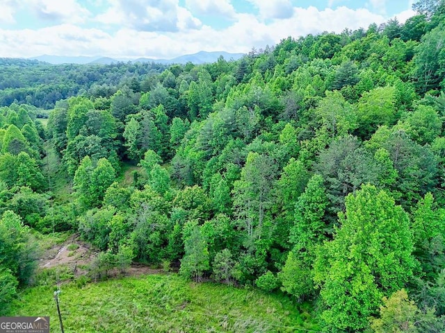 0 Mason Rd, Brasstown, WV 26805
