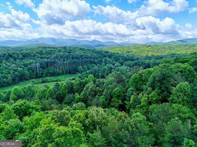 0 Mason Rd, Brasstown, WV 26805