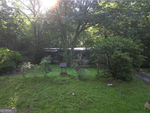 243 Lakeside Trl, Martin, GA 30557 - view of green lawn