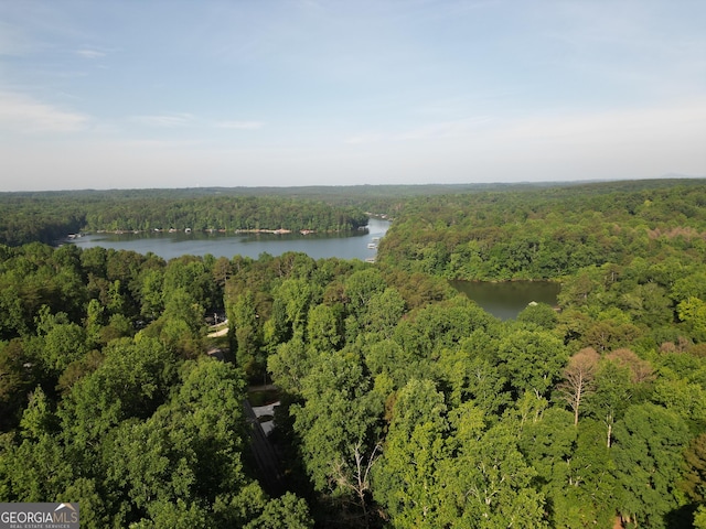 243 Lakeside Trl, Martin, GA 30557 - aerial view of property's location with a forest and a large body of water