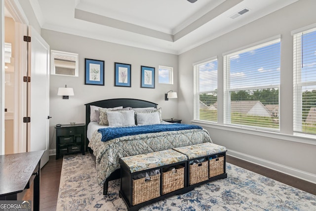 6937 River Rock Dr, Flowery Branch, GA 30542 - bedroom with multiple windows, wood finished floors, and a tray ceiling