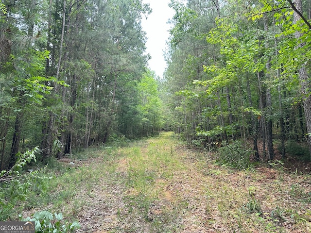 1 Skull Shoals Rd, Washington, GA 30673