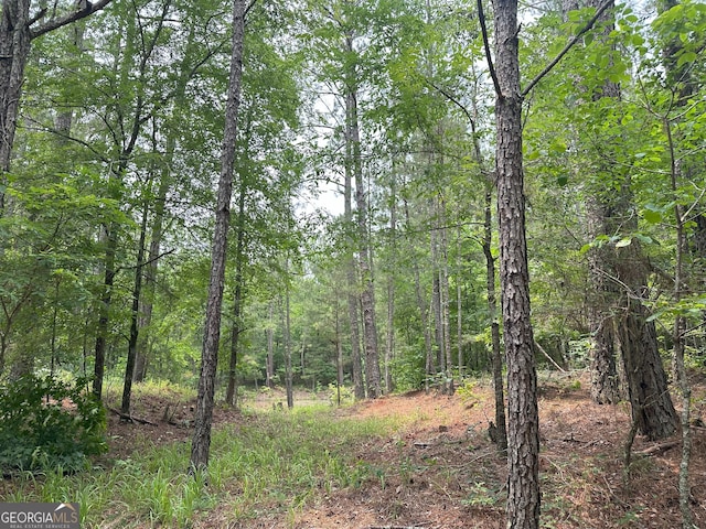 1 Skull Shoals Rd, Washington, GA 30673