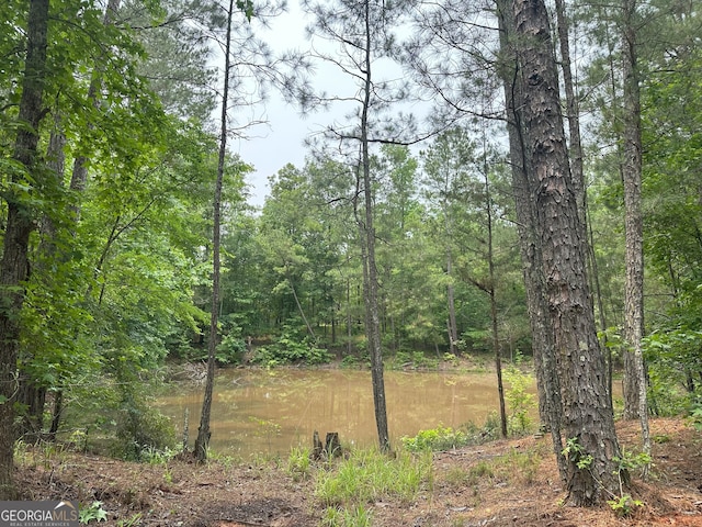 1 Skull Shoals Rd, Washington, GA 30673