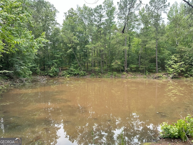 1 Skull Shoals Rd, Washington, GA 30673