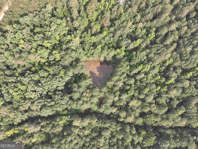 1 Skull Shoals Rd, Washington, GA 30673