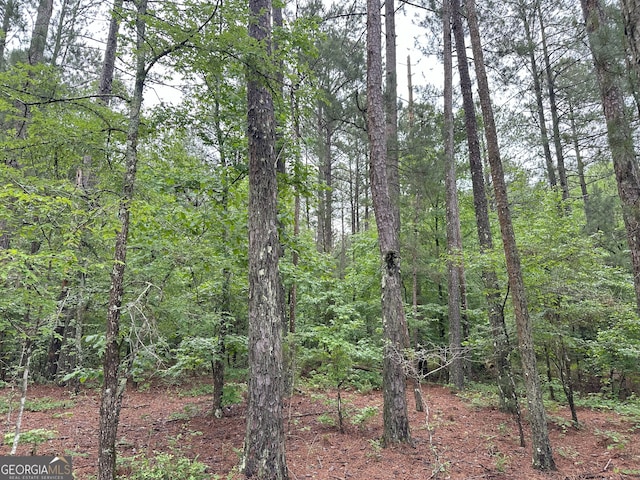 1 Skull Shoals Rd, Washington, GA 30673