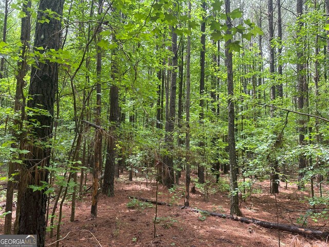 1 Skull Shoals Rd, Washington, GA 30673