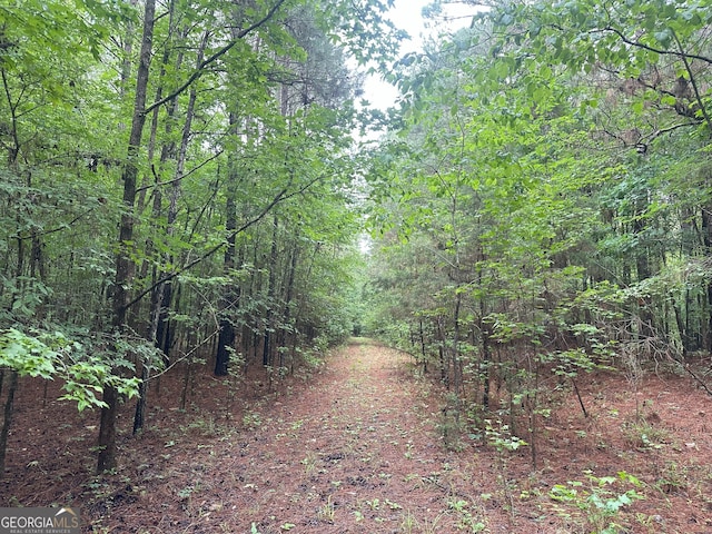 1 Skull Shoals Rd, Washington, GA 30673