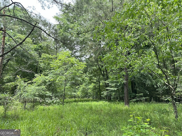 1 Skull Shoals Rd, Washington, GA 30673