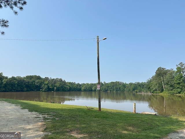 1 Skull Shoals Rd, Washington, GA 30673