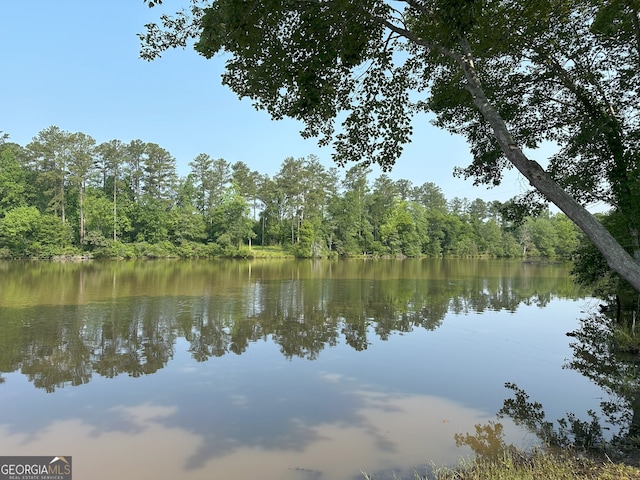1 Skull Shoals Rd, Washington, GA 30673