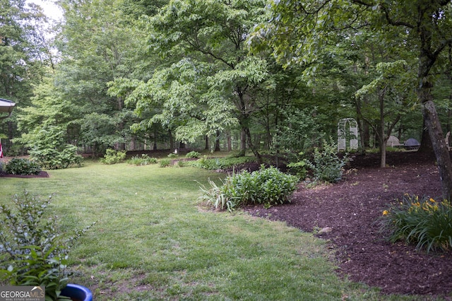 323 Mccartan Trl, Clarkesville, GA 30523 - view of green lawn