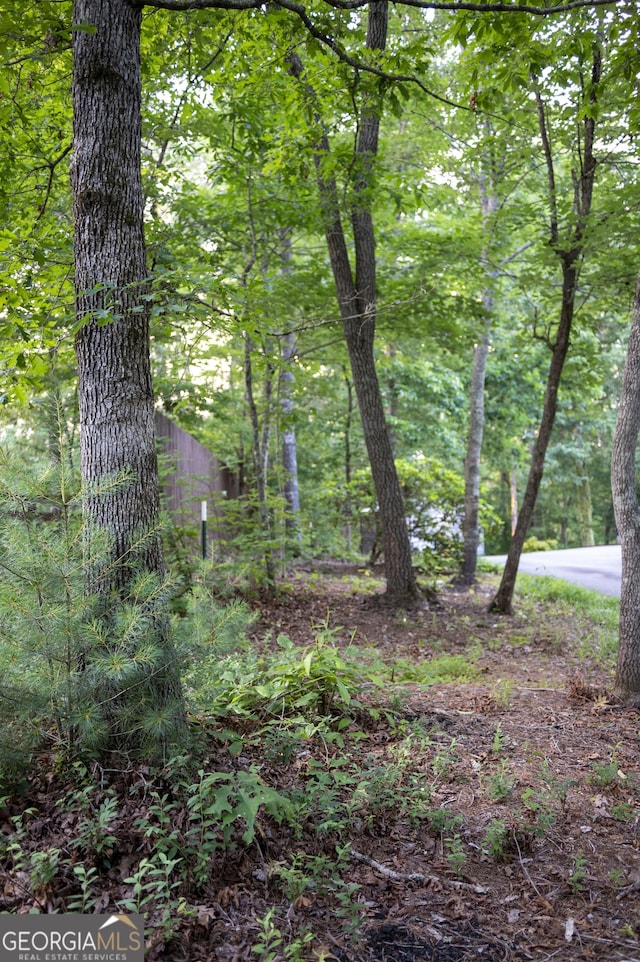 323 Mccartan Trl, Clarkesville, GA 30523 - view of undeveloped land