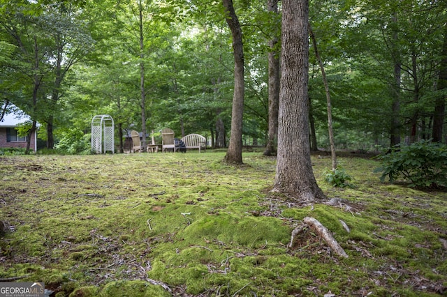 323 Mccartan Trl, Clarkesville, GA 30523 - view of yard