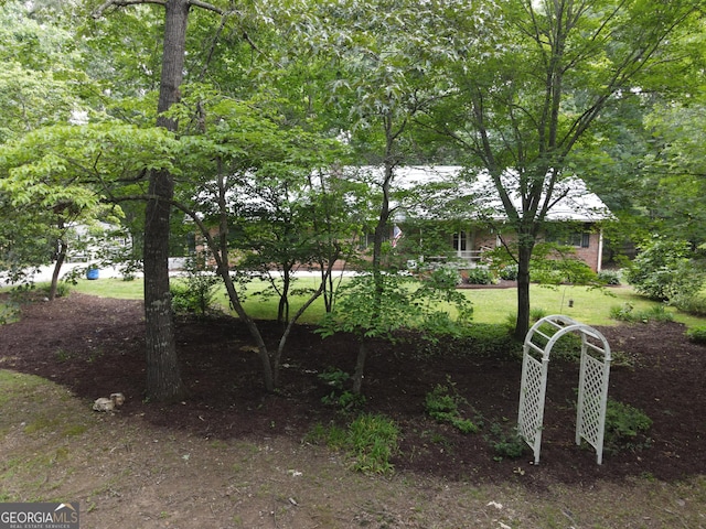 323 Mccartan Trl, Clarkesville, GA 30523 - view of yard
