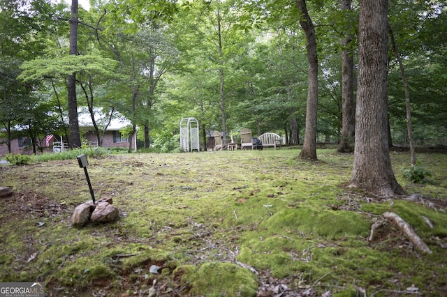 323 Mccartan Trl, Clarkesville, GA 30523 - view of yard