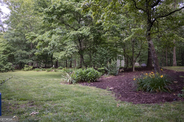 323 Mccartan Trl, Clarkesville, GA 30523 - view of grassy yard
