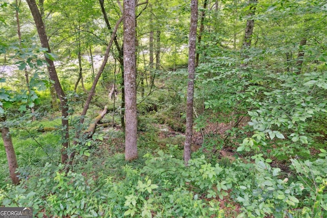 187 Angers Ct, Dahlonega, GA 30533 - view of tree filled area