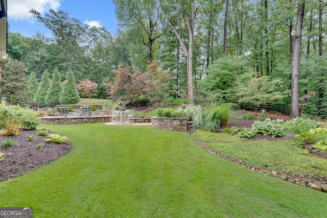 114 Trinity Hollow Dr, Canton, GA 30115 - view of green lawn