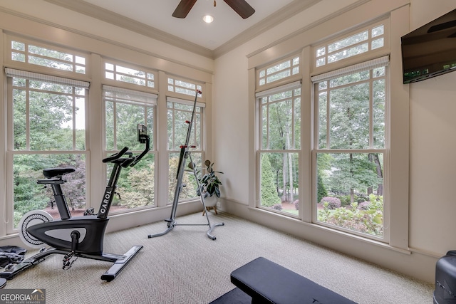 114 Trinity Hollow Dr, Canton, GA 30115 - workout area featuring ceiling fan, carpet flooring, healthy amount of natural light, and ornamental molding