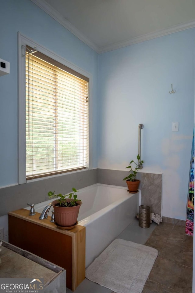 1079 Hardeman Farm Rd, Carnesville, GA 30521 - full bath featuring a garden tub and ornamental molding