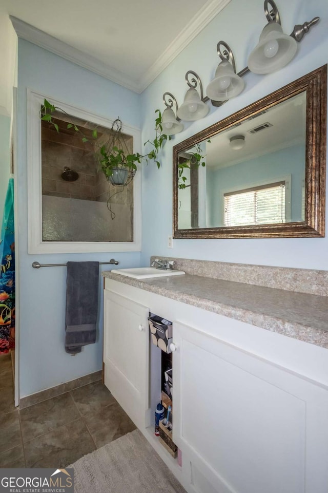 1079 Hardeman Farm Rd, Carnesville, GA 30521 - bathroom with ornamental molding, vanity, and a shower