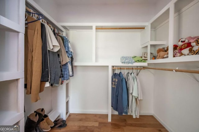 1079 Hardeman Farm Rd, Carnesville, GA 30521 - spacious closet featuring wood finished floors