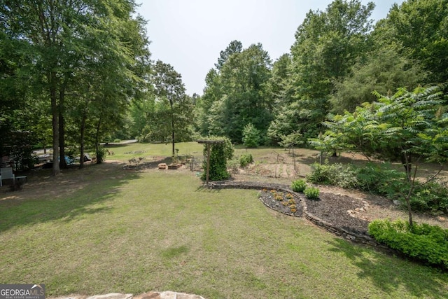 1079 Hardeman Farm Rd, Carnesville, GA 30521 - view of green lawn