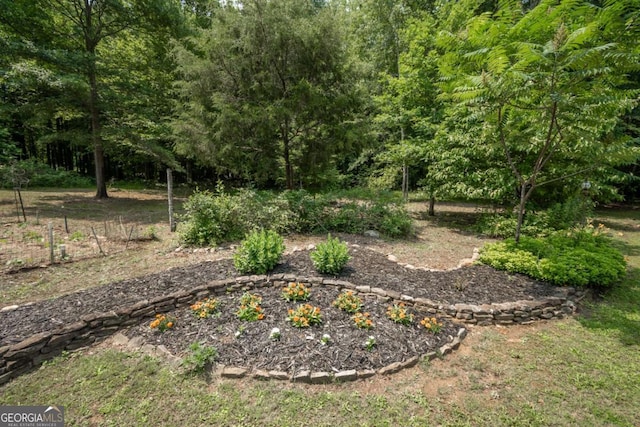 1079 Hardeman Farm Rd, Carnesville, GA 30521 - view of yard