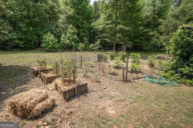 1079 Hardeman Farm Rd, Carnesville, GA 30521 - view of yard featuring a garden