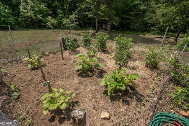 1079 Hardeman Farm Rd, Carnesville, GA 30521 - view of yard featuring a vegetable garden and a view of trees