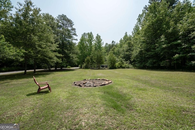1079 Hardeman Farm Rd, Carnesville, GA 30521 - view of grassy yard
