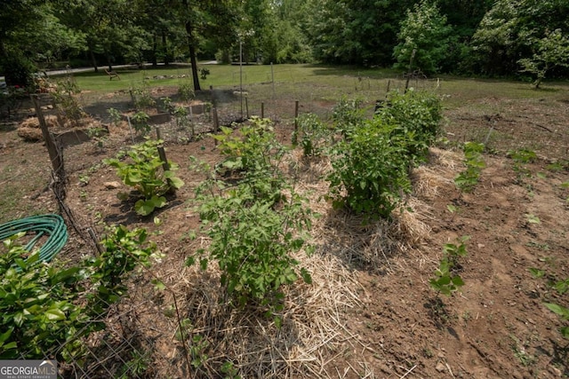 1079 Hardeman Farm Rd, Carnesville, GA 30521 - view of yard featuring a vegetable garden
