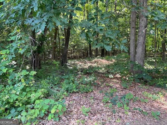 149 Titan Rd, Stockbridge, GA 30281 - view of tree filled area