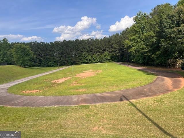 149 Titan Rd, Stockbridge, GA 30281 - surrounding community featuring a wooded view and a yard