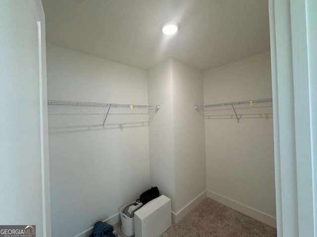 7695 Baron Rd, Fairburn, GA 30213 - walk in closet with carpet floors