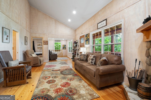 254 Rue Ln, Clayton, GA 30525 - living area featuring high vaulted ceiling and light wood-style flooring